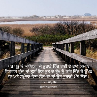 Picture 03 - ਲੂਕਾ 17:6 PANIRV - ਪਰ ਪ੍ਰਭੂ ਨੇ ਆਖਿਆ, - Bible Verse Picture