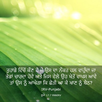 Picture 03 - ਲੂਕਾ 17:7 PANIRV - ਤੁਹਾਡੇ ਵਿੱਚੋਂ ਕੌਣ - Bible Verse Picture