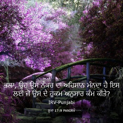 Picture 03 - ਲੂਕਾ 17:9 PANIRV - ਭਲਾ, ਉਹ ਉਸ ਨੌਕਰ ਦਾ - Bible Verse Picture