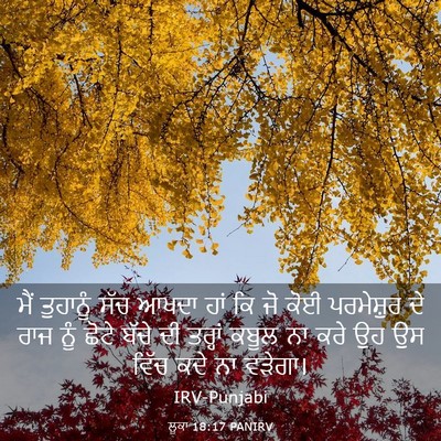 Picture 03 - ਲੂਕਾ 18:17 PANIRV - ਮੈਂ ਤੁਹਾਨੂੰ ਸੱਚ - Bible Verse Picture