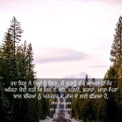 Picture 03 - ਲੂਕਾ 18:29 PANIRV - ਤਦ ਯਿਸੂ ਨੇ ਉਨ੍ਹਾਂ - Bible Verse Picture