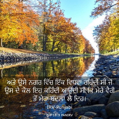 Picture 03 - ਲੂਕਾ 18:3 PANIRV - ਅਤੇ ਉਸੇ ਨਗਰ ਵਿੱਚ - Bible Verse Picture