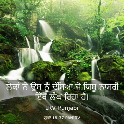 Picture 03 - ਲੂਕਾ 18:37 PANIRV - ਲੋਕਾਂ ਨੇ ਉਸ ਨੂੰ - Bible Verse Picture
