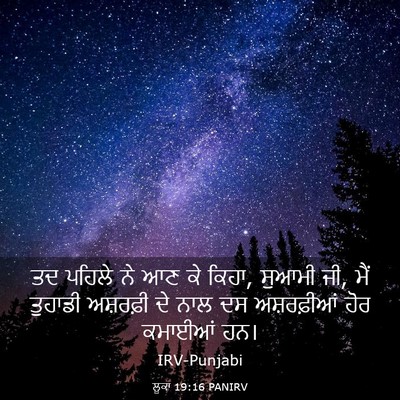 Picture 03 - ਲੂਕਾ 19:16 PANIRV - ਤਦ ਪਹਿਲੇ ਨੇ ਆਣ ਕੇ - Bible Verse Picture