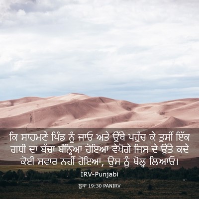 Picture 03 - ਲੂਕਾ 19:30 PANIRV - ਕਿ ਸਾਹਮਣੇ ਪਿੰਡ ਨੂੰ - Bible Verse Picture