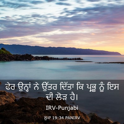 Picture 03 - ਲੂਕਾ 19:34 PANIRV - ਫੇਰ ਉਨ੍ਹਾਂ ਨੇ ਉੱਤਰ - Bible Verse Picture