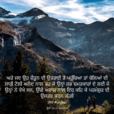 Picture 03 - ਲੂਕਾ 19:37 PANIRV - ਅਤੇ ਜਦ ਉਹ ਜ਼ੈਤੂਨ ਦੀ - Bible Verse Picture