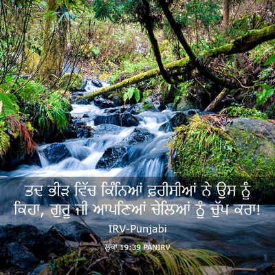 Picture 03 - ਲੂਕਾ 19:39 PANIRV - ਤਦ ਭੀੜ ਵਿੱਚ - Bible Verse Picture
