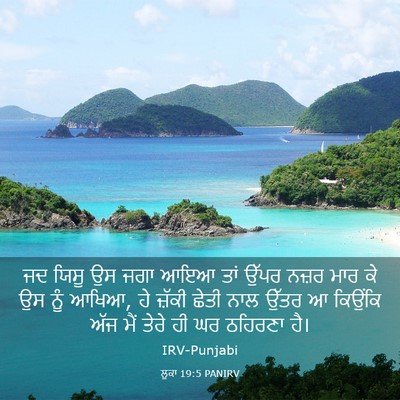 Picture 03 - ਲੂਕਾ 19:5 PANIRV - ਜਦ ਯਿਸੂ ਉਸ ਜਗਾ ਆਇਆ - Bible Verse Picture