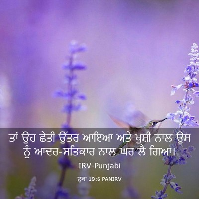 Picture 03 - ਲੂਕਾ 19:6 PANIRV - ਤਾਂ ਉਹ ਛੇਤੀ ਉੱਤਰ - Bible Verse Picture