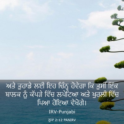 Picture 03 - ਲੂਕਾ 2:12 PANIRV - ਅਤੇ ਤੁਹਾਡੇ ਲਈ ਇਹ - Bible Verse Picture