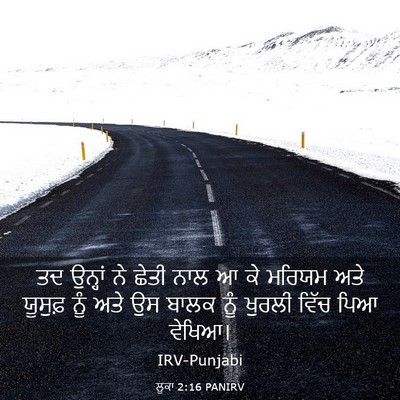 Picture 03 - ਲੂਕਾ 2:16 PANIRV - ਤਦ ਉਨ੍ਹਾਂ ਨੇ ਛੇਤੀ - Bible Verse Picture