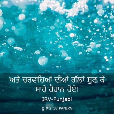 Picture 03 - ਲੂਕਾ 2:18 PANIRV - ਅਤੇ ਚਰਵਾਹਿਆਂ ਦੀਆਂ - Bible Verse Picture