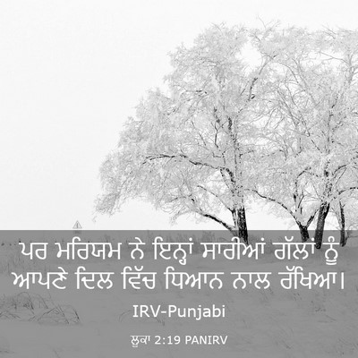 Picture 03 - ਲੂਕਾ 2:19 PANIRV - ਪਰ ਮਰਿਯਮ ਨੇ ਇਨ੍ਹਾਂ - Bible Verse Picture