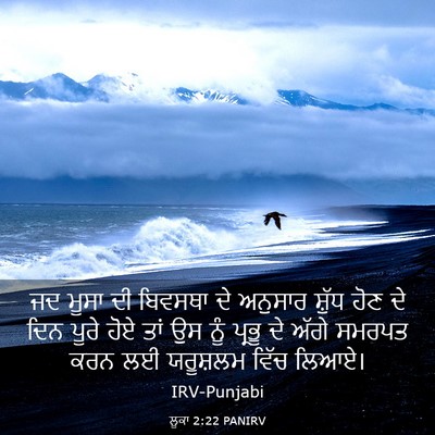 Picture 03 - ਲੂਕਾ 2:22 PANIRV - ਜਦ ਮੂਸਾ ਦੀ ਬਿਵਸਥਾ - Bible Verse Picture
