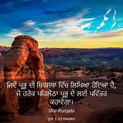 Picture 03 - ਲੂਕਾ 2:23 PANIRV - ਜਿਵੇਂ ਪ੍ਰਭੂ ਦੀ - Bible Verse Picture