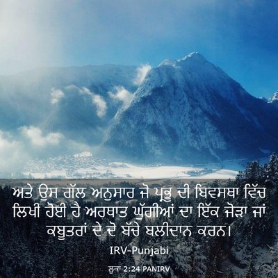 Picture 03 - ਲੂਕਾ 2:24 PANIRV - ਅਤੇ ਉਸ ਗੱਲ ਅਨੁਸਾਰ - Bible Verse Picture