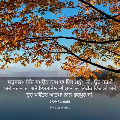 Picture 03 - ਲੂਕਾ 2:25 PANIRV - ਯਰੂਸ਼ਲਮ ਵਿੱਚ - Bible Verse Picture