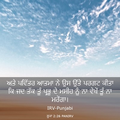 Picture 03 - ਲੂਕਾ 2:26 PANIRV - ਅਤੇ ਪਵਿੱਤਰ ਆਤਮਾ ਨੇ - Bible Verse Picture