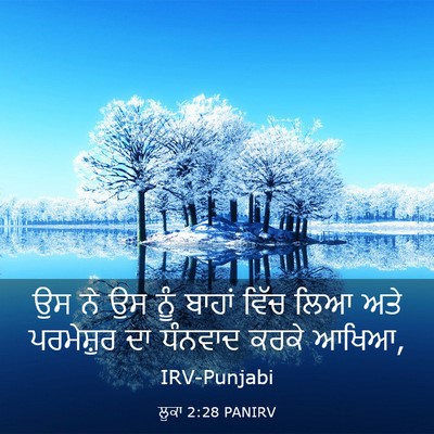 Picture 03 - ਲੂਕਾ 2:28 PANIRV - ਉਸ ਨੇ ਉਸ ਨੂੰ ਬਾਹਾਂ - Bible Verse Picture