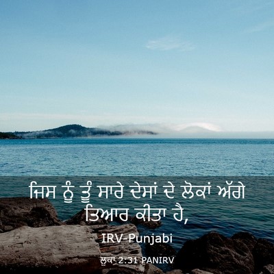 Picture 03 - ਲੂਕਾ 2:31 PANIRV - ਜਿਸ ਨੂੰ ਤੂੰ ਸਾਰੇ - Bible Verse Picture