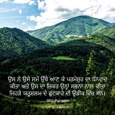Picture 03 - ਲੂਕਾ 2:38 PANIRV - ਉਸ ਨੇ ਉਸੇ ਸਮੇਂ ਉੱਥੇ - Bible Verse Picture