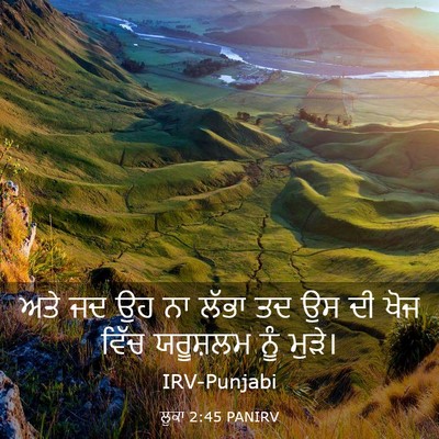 Picture 03 - ਲੂਕਾ 2:45 PANIRV - ਅਤੇ ਜਦ ਉਹ ਨਾ ਲੱਭਾ - Bible Verse Picture