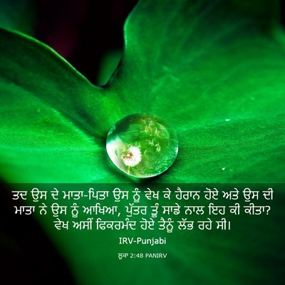Picture 03 - ਲੂਕਾ 2:48 PANIRV - ਤਦ ਉਸ ਦੇ ਮਾਤਾ-ਪਿਤਾ - Bible Verse Picture