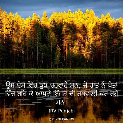 Picture 03 - ਲੂਕਾ 2:8 PANIRV - ਉਸ ਦੇਸ ਵਿੱਚ ਕੁਝ - Bible Verse Picture
