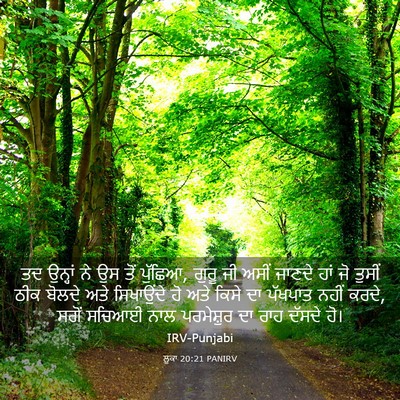 Picture 03 - ਲੂਕਾ 20:21 PANIRV - ਤਦ ਉਨ੍ਹਾਂ ਨੇ ਉਸ ਤੋਂ - Bible Verse Picture
