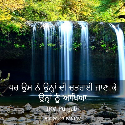 Picture 03 - ਲੂਕਾ 20:23 PANIRV - ਪਰ ਉਸ ਨੇ ਉਨ੍ਹਾਂ ਦੀ - Bible Verse Picture