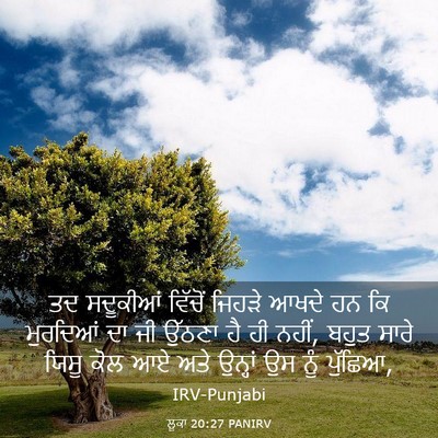 Picture 03 - ਲੂਕਾ 20:27 PANIRV - ਤਦ ਸਦੂਕੀਆਂ ਵਿੱਚੋਂ - Bible Verse Picture