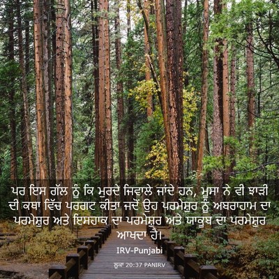 Picture 03 - ਲੂਕਾ 20:37 PANIRV - ਪਰ ਇਸ ਗੱਲ ਨੂੰ ਕਿ - Bible Verse Picture