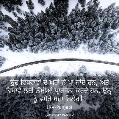 Picture 03 - ਲੂਕਾ 20:47 PANIRV - ਉਹ ਵਿਧਵਾਵਾਂ ਦੇ - Bible Verse Picture