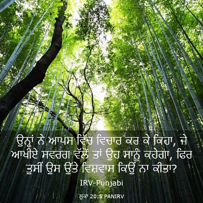 Picture 03 - ਲੂਕਾ 20:5 PANIRV - ਉਨ੍ਹਾਂ ਨੇ ਆਪਸ ਵਿੱਚ - Bible Verse Picture
