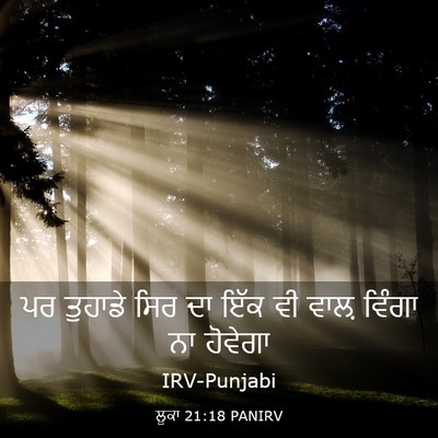 Picture 03 - ਲੂਕਾ 21:18 PANIRV - ਪਰ ਤੁਹਾਡੇ ਸਿਰ ਦਾ - Bible Verse Picture