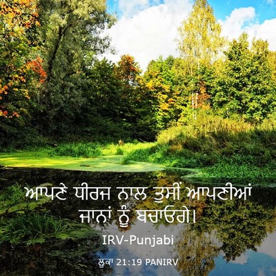 Picture 03 - ਲੂਕਾ 21:19 PANIRV - ਆਪਣੇ ਧੀਰਜ ਨਾਲ - Bible Verse Picture