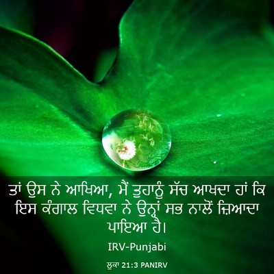 Picture 03 - ਲੂਕਾ 21:3 PANIRV - ਤਾਂ ਉਸ ਨੇ ਆਖਿਆ, ਮੈਂ - Bible Verse Picture