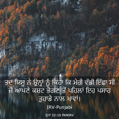 Picture 03 - ਲੂਕਾ 22:15 PANIRV - ਤਦ ਯਿਸੂ ਨੇ ਉਨ੍ਹਾਂ - Bible Verse Picture