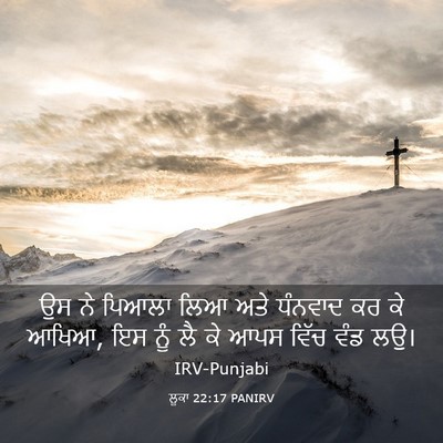 Picture 03 - ਲੂਕਾ 22:17 PANIRV - ਉਸ ਨੇ ਪਿਆਲਾ ਲਿਆ ਅਤੇ - Bible Verse Picture