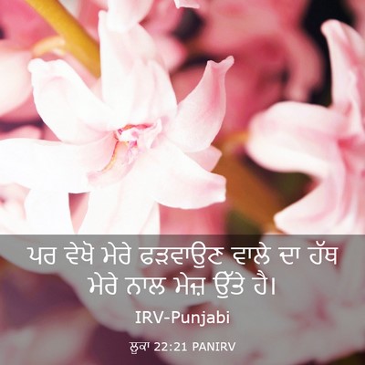 Picture 03 - ਲੂਕਾ 22:21 PANIRV - ਪਰ ਵੇਖੋ ਮੇਰੇ - Bible Verse Picture