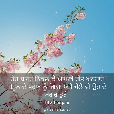 Picture 03 - ਲੂਕਾ 22:39 PANIRV - ਉਹ ਬਾਹਰ ਨਿੱਕਲ ਕੇ - Bible Verse Picture