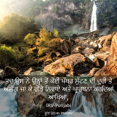 Picture 03 - ਲੂਕਾ 22:41 PANIRV - ਤਦ ਉਸ ਨੇ ਉਨ੍ਹਾਂ ਤੋਂ - Bible Verse Picture