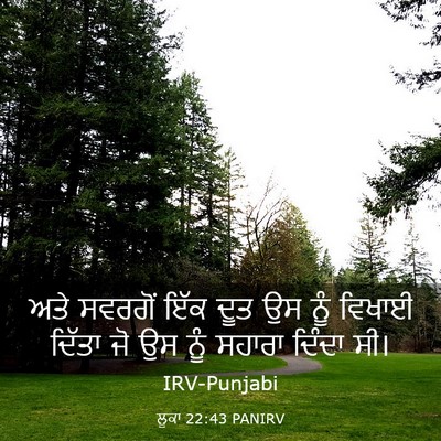 Picture 03 - ਲੂਕਾ 22:43 PANIRV - ਅਤੇ ਸਵਰਗੋਂ ਇੱਕ ਦੂਤ - Bible Verse Picture