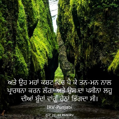 Picture 03 - ਲੂਕਾ 22:44 PANIRV - ਅਤੇ ਉਹ ਮਹਾਂ ਕਸ਼ਟ - Bible Verse Picture