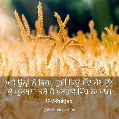 Picture 03 - ਲੂਕਾ 22:46 PANIRV - ਅਤੇ ਉਨ੍ਹਾਂ ਨੂੰ - Bible Verse Picture