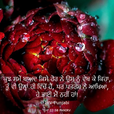 Picture 03 - ਲੂਕਾ 22:58 PANIRV - ਕੁਝ ਸਮੇਂ ਬਾਅਦ ਕਿਸੇ - Bible Verse Picture