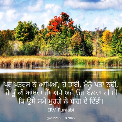 Picture 03 - ਲੂਕਾ 22:60 PANIRV - ਪਰ ਪਤਰਸ ਨੇ ਆਖਿਆ, ਹੇ - Bible Verse Picture