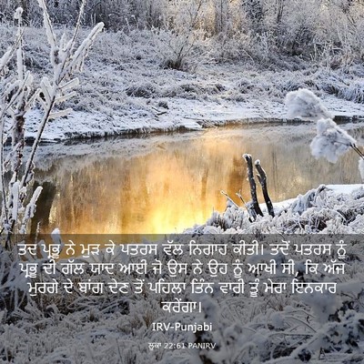 Picture 03 - ਲੂਕਾ 22:61 PANIRV - ਤਦ ਪ੍ਰਭੂ ਨੇ ਮੁੜ ਕੇ - Bible Verse Picture