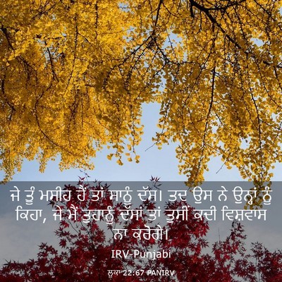 Picture 03 - ਲੂਕਾ 22:67 PANIRV - ਜੇ ਤੂੰ ਮਸੀਹ ਹੈਂ ਤਾਂ - Bible Verse Picture